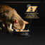 85 g Pro Plan Senior 7+ LONGEVIS Mousse con atún para gatos, , large indicador imagen numero 6